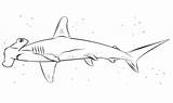 Shark Hammerhead Coloring Pages Printable Sharks Hai Drawings Kids Ocean Choose Board Drawing Print sketch template