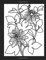 Coloring Stained Tropical Glass Flowers Book Dover Choose Board Amazon sketch template