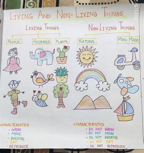 drawing  living   living    piece  paper  words