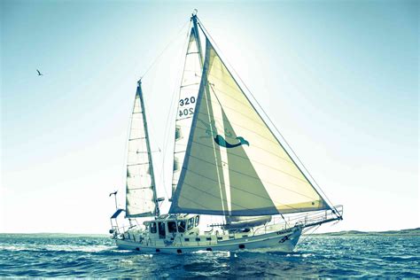 common sailboats  rigs