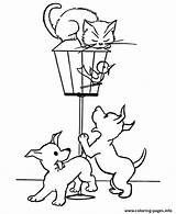 Coloring Cat Cage Pages Stuck Animal Printable Print Color sketch template