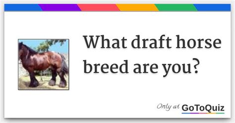 draft horse breed