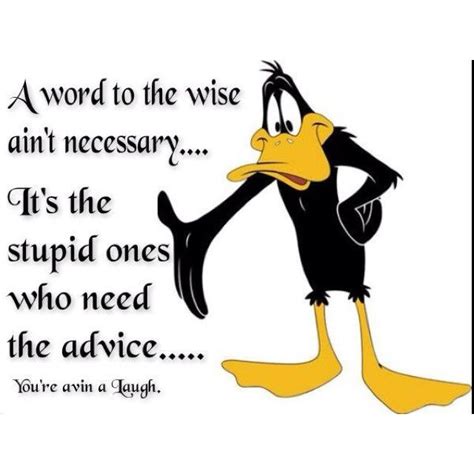 pinterest daffy duck quotes duck quotes cartoon jokes
