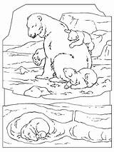 Ijsbeer Polar Oso Leukekleurplaten Kleurplaten Dibujosparaimprimir Kleur Coloringpage sketch template