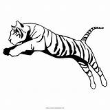 Tigre Colorir Bengal Ultracoloringpages sketch template
