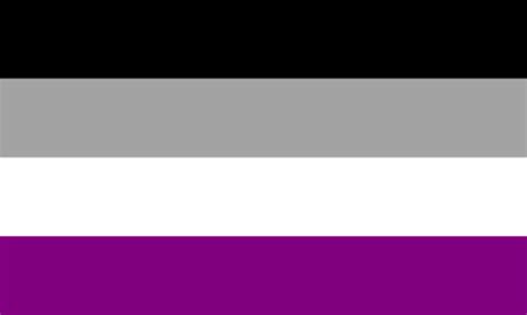 Asexual Pride Professional Quality Flag – Buy The Best Quality Durable