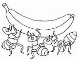 Hormigas Colorear Formiche Formigas Disegni Acolore Plátano Platano sketch template