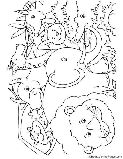 african jungle animals coloring page   african jungle
