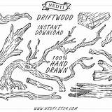 Driftwood Getdrawings Vector sketch template