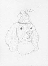 Springer Spaniel English Pages Coloring Getcolorings sketch template