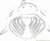 Shark Basking Connect Mouth Open His Dots Dot sketch template