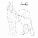 Horse Gypsy Foal Vanner Coloring Pages Drawing Mare Deviantart Template Getdrawings sketch template