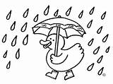 Regen Eendjes Eendje Yoo Regent Pannetjes sketch template