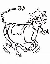 Coloring Cows Clarabelle Jumping Mucca Corre Divertenti Mucche sketch template