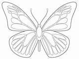Butterfly Trace Outline Drawing sketch template