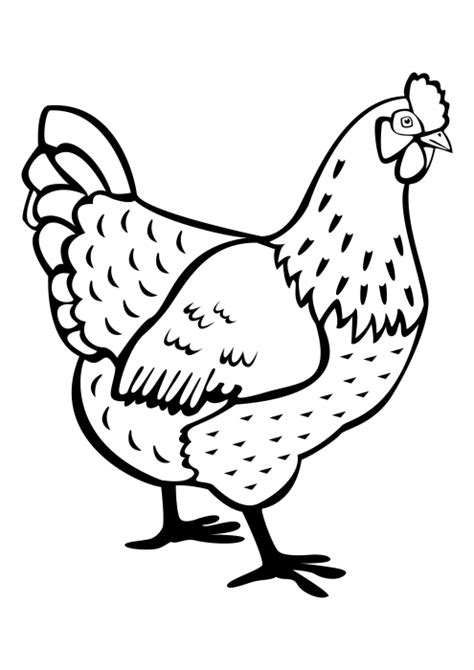 chicken coloring pages pets coloring pages coloringscc