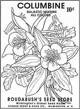 Seed Coloring Packets Flower Vintage Pages Seeds Book Drawing Dover Publications Doverpublications Welcome Colouring Choose Board sketch template