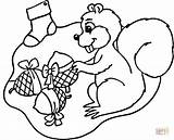 Coloring Squirrel Christmas Pages Squirrels Printable Drawing sketch template