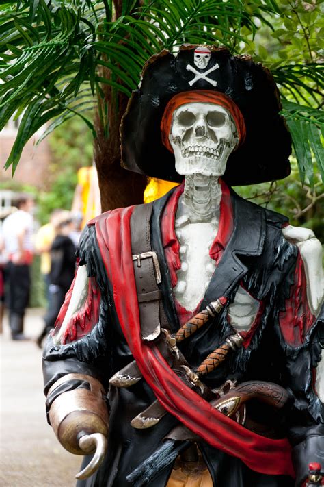 skeleton pirate prop halloween party backdrop pirate halloween