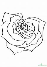 Rose Heart Shaped Coloring Pages Printable Roses Categories sketch template