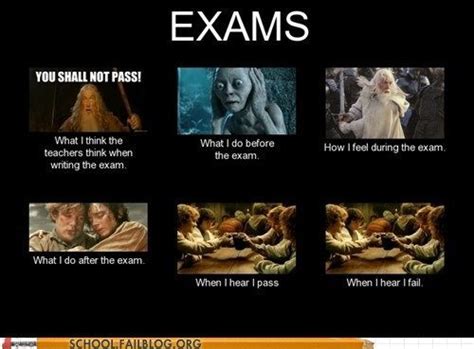 how hobbits feel about exams lord of the rings lord funny pictures