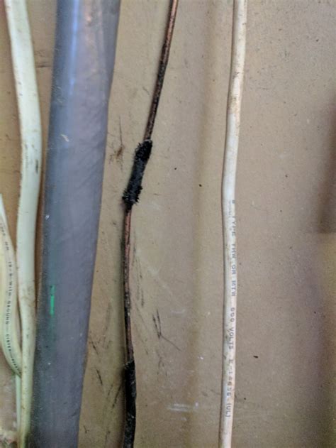 electrical  wrong   ground wire   supposed   insulated home
