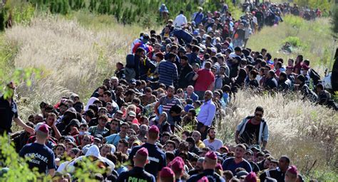 Vague De Migrants En Europe Vers La Piste Américaine