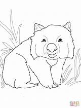 Wombat Coloring Funny Pages Color Printable Supercoloring Drawing Dot Crafts Categories sketch template