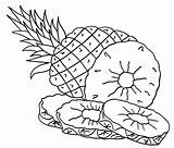 Ananas Abacaxi Colorir Pineapples Desenhos Cool2bkids Frutas Malvorlagen Template Druckbare Coloriages sketch template