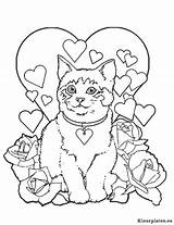 Poezen Katten Downloaden Vriend Uitprinten sketch template