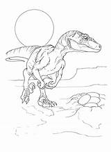 Coloring Velociraptor Pages Jurassic Raptor Park Printable Color Dinosaur Da Colorare Ford Colouring Rex Animal Kids Clipart Book Simple Getcolorings sketch template