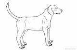 Coloring Hound Pages Dog Printable Adults Kids sketch template