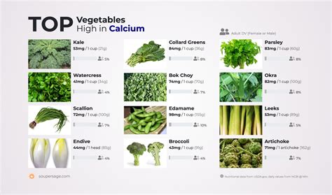 green vegetables  high  calcium  vegetable   world