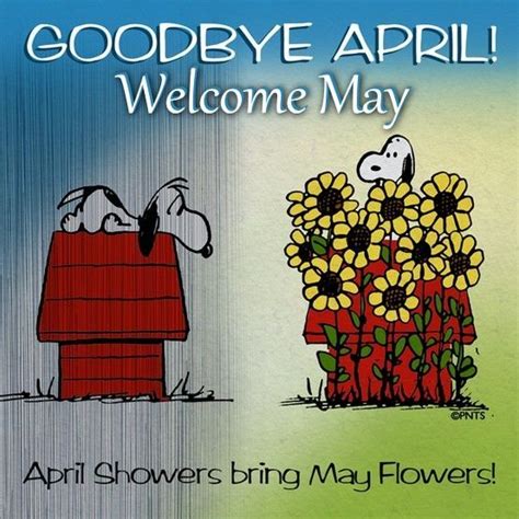 17 best images about the month of may on pinterest quotes about spring happy may and may quotes