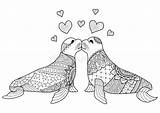 Coloring Kissing Seals Drawn Each Hand Adult Book Two Other Preview sketch template