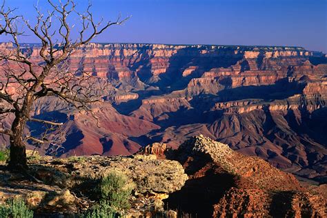 grand canyon national park travel arizona  usa north america