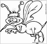 Dibujos Mosquitos Colorear Chachipedia Animados sketch template