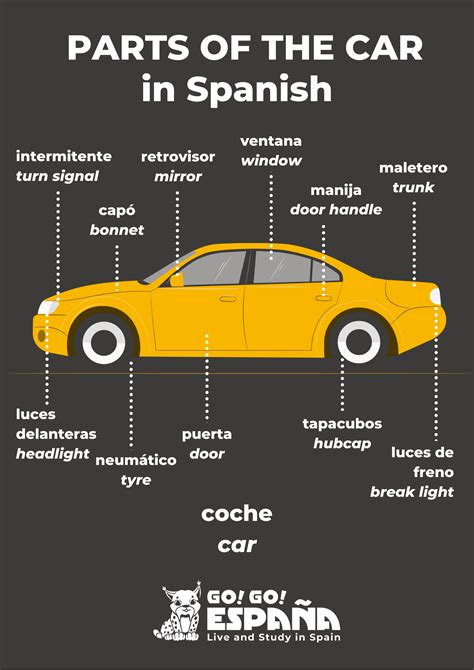 Car Diagram In Spanish