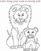 Lion Coloring Kids Family Pages Printable Library Print Animal Pdf Open  Template sketch template
