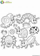 Insecten Kleurplaten Kleurplaat 1279 Insect Kriebeldiertjes Tijdmetkinderen Tijd Kinderen Dierentuin Huisdieren Exotische sketch template