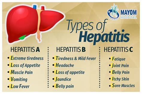 Complete Guide On Hepatitis Types Causes Precautions And Treatment