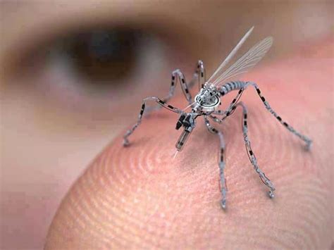 bats butterflies roaches mosquitoes  birds  coming micro drone revolution science