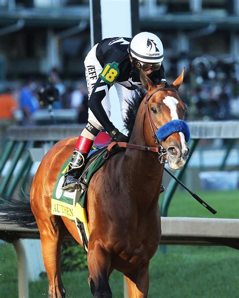 kentucky derby  horses mee withers