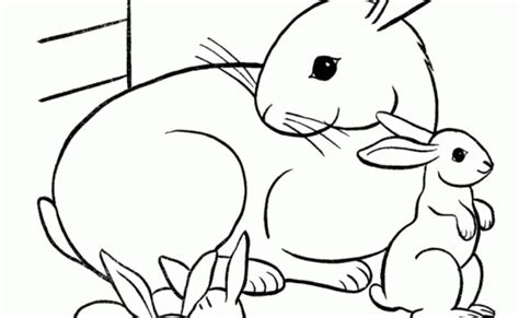 mommy  baby animals coloring pages learn animals mothers