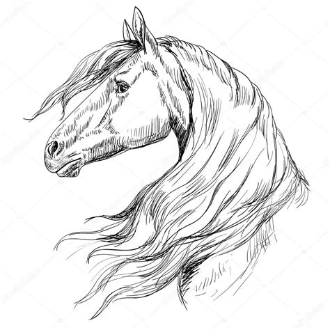 horse drawing outline  getdrawings
