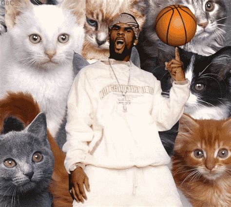 r kelly cat find and share on giphy
