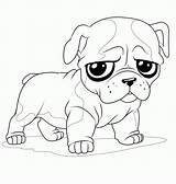 Coloring Bulldog Pages Printable Popular sketch template