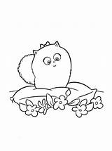 Coloring Gidget Secret Life Flowers Pets Pages Printable Max Kids sketch template