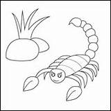 Coloring Insects Online Scorpion Escorpion sketch template
