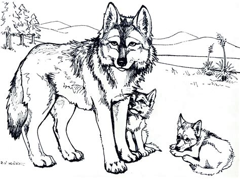 coloring pages  wolves  kids coloring pages